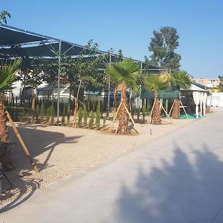 مكان تخييم Llanos