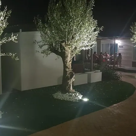 Llanos دينايا
