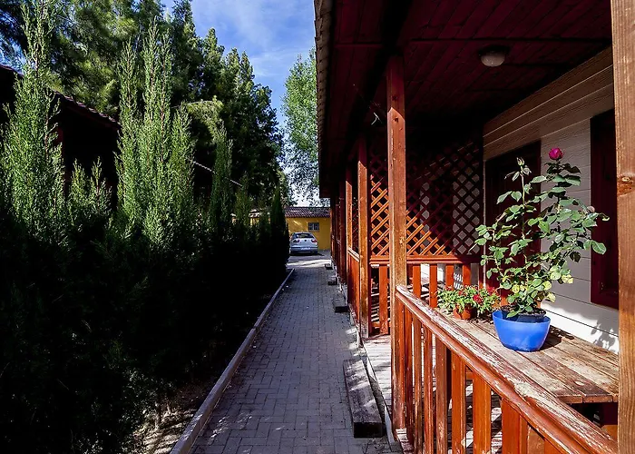 Llanos Campsite Denia