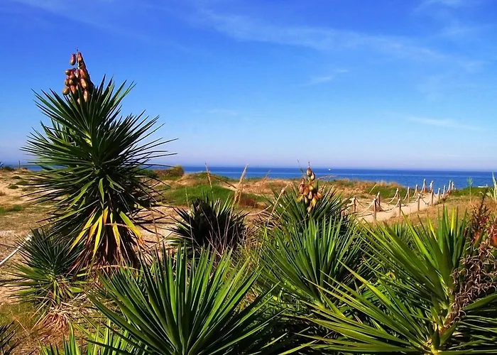 Llanos 3* Денія